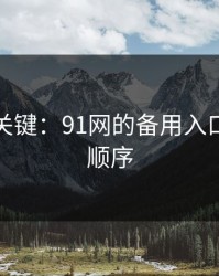 冷门但关键：91网的备用入口的更换顺序