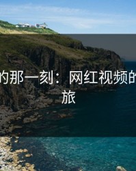 深夜里的那一刻：网红视频的惊艳之旅