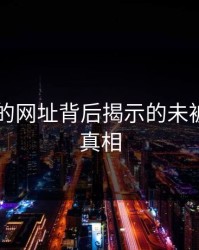 从51网的网址背后揭示的未被发现的真相