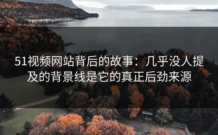 51视频网站背后的故事：几乎没人提及的背景线是它的真正后劲来源