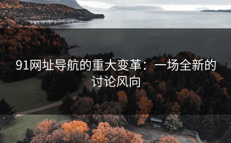 91网址导航的重大变革：一场全新的讨论风向