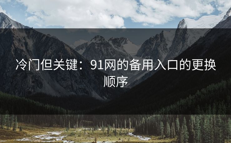 冷门但关键：91网的备用入口的更换顺序