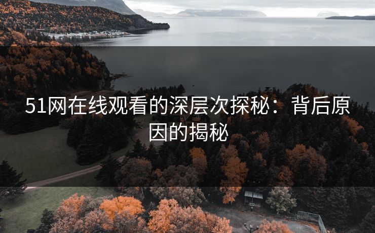 51网在线观看的深层次探秘：背后原因的揭秘