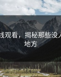 51网在线观看，揭秘那些没人细说的地方