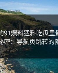 91网里的91爆料猛料吃瓜里最容易被忽略的秘密：导航页跳转的隐秘力量