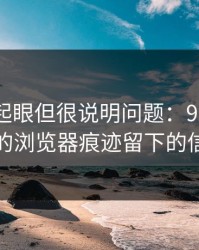 乍看不起眼但很说明问题：91网浏览器的浏览器痕迹留下的信息