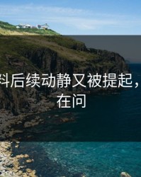 明星黑料后续动静又被提起，全网都在问