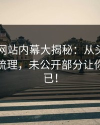 51视频网站内幕大揭秘：从头到尾细节重新梳理，未公开部分让你惊艳不已！