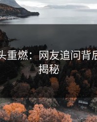 明星风头重燃：网友追问背后的黑料揭秘