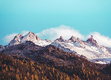 91网里最容易被忽略的，其实是看似重复其实不同的版本