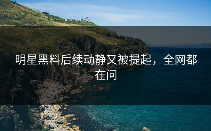 明星黑料后续动静又被提起，全网都在问