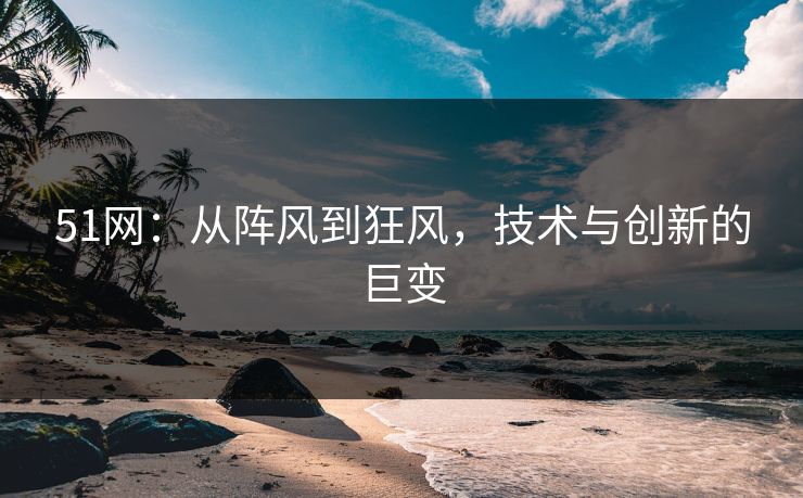 51网：从阵风到狂风，技术与创新的巨变