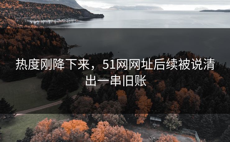 热度刚降下来，51网网址后续被说清出一串旧账