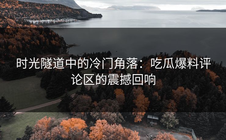 时光隧道中的冷门角落：吃瓜爆料评论区的震撼回响