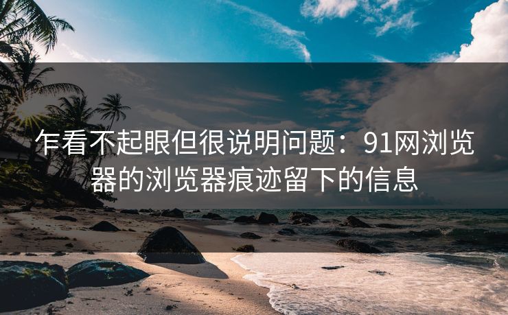 乍看不起眼但很说明问题：91网浏览器的浏览器痕迹留下的信息
