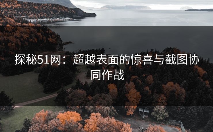 探秘51网：超越表面的惊喜与截图协同作战