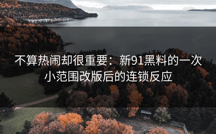 不算热闹却很重要：新91黑料的一次小范围改版后的连锁反应