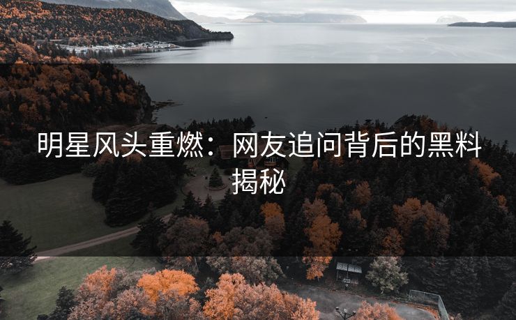 明星风头重燃：网友追问背后的黑料揭秘